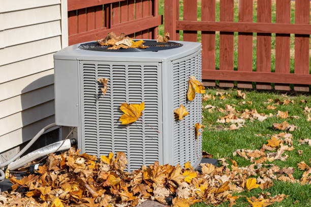 Best HVAC tune-up services  in Alamo, TN